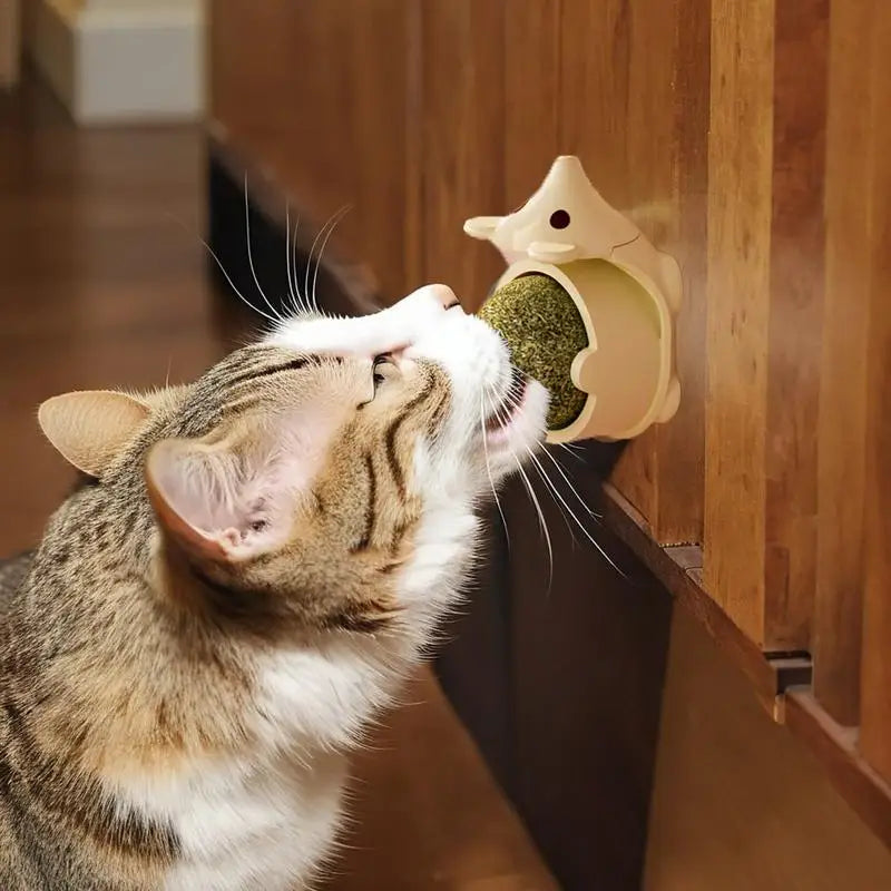 Hedgehog Catnip Ball